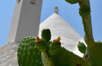 IL TRULLO BIANCO - Country House & SPA - Foto 17