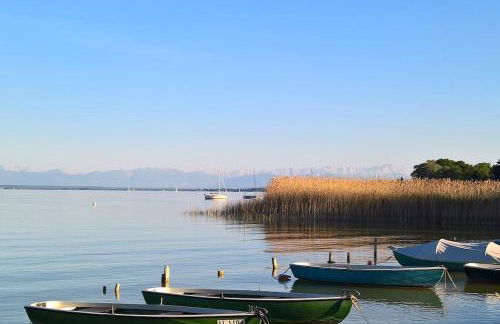 Schönes Terrassen-Appartement - Foto 5