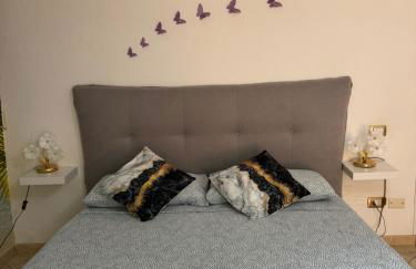 Butterflyhouse2 - Foto 9