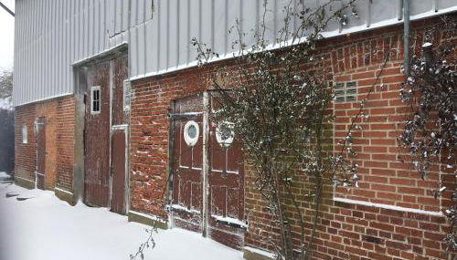 Ferienhof Schulz - Foto 4