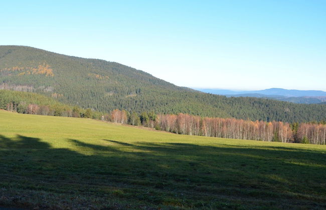 Cozy Forest Adventure Stay - Foto 33