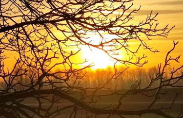 Ferienhaus Domus - Foto 27