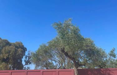 Nissi Collection Rooms - Foto 54