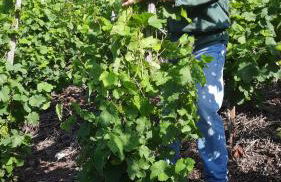 Ferienwohnung Gerhard Lenz - Foto 39