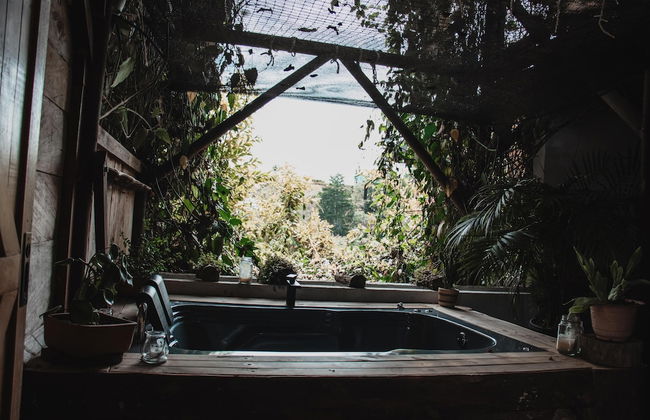 ecohotel zona 7 - Photo 65