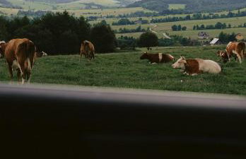 Wolne Domy - Foto 56