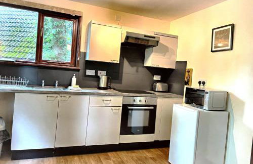 Wren 21-Hot Tub-Woodland Lodges-Tenby-Camarthenshire - Foto 13