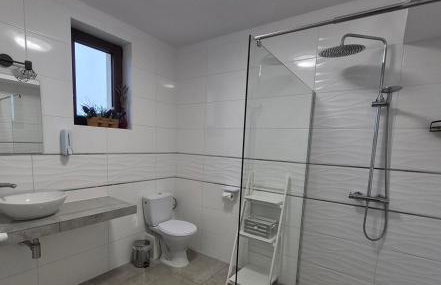 GOSPODARSTWO TURYSTYCZNE w OSINKACH - Foto 12