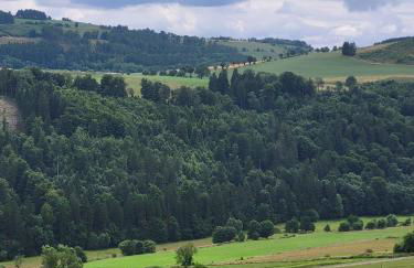 Ferienwohnung Ziegler - Foto 14