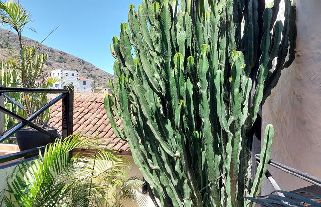 Apartamentos Monasterio de San Antonio - adults only - Photo 40