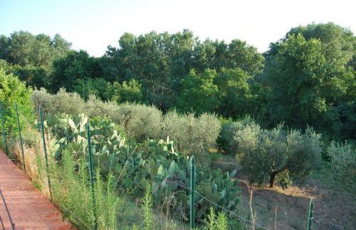 Villa Marilena - Photo 16