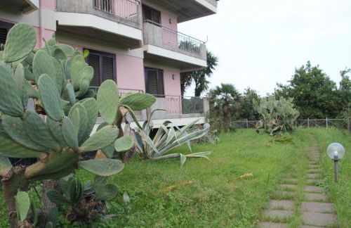 aranceto dell'Etna - Foto 49