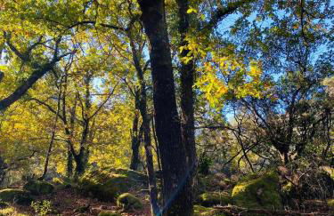 Hotel AV Apartamentos Lobios - Foto 59