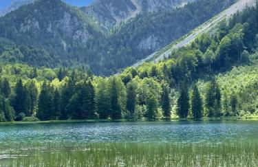 Haus Hochhäusler - Foto 11