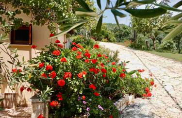 Oliveto e mare - Foto 14