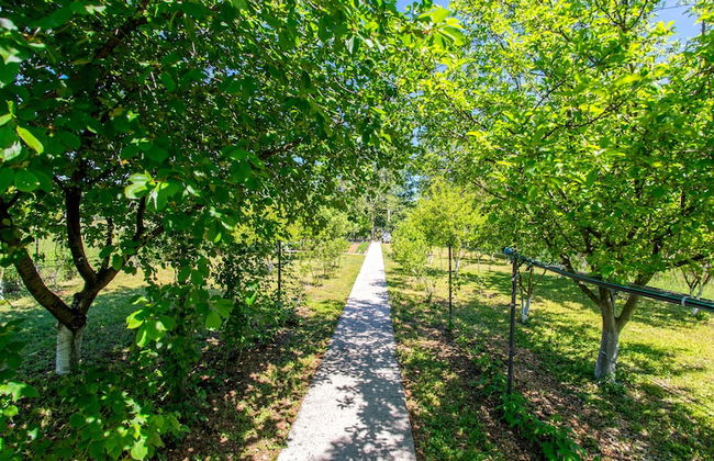 Frida Luxury Beachfront Villa - Foto 52