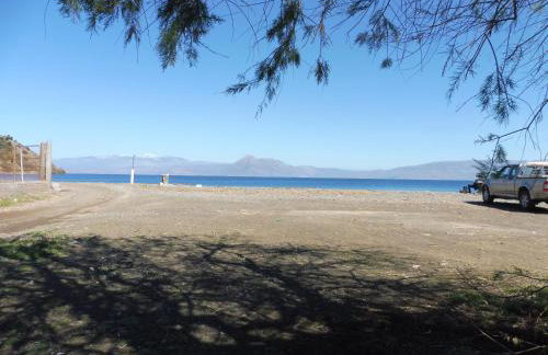 Palm tree house by the beach - Foto 58