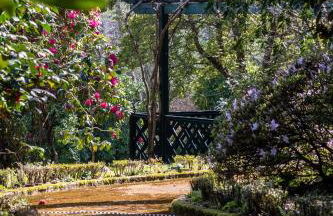 Quinta de Mourães Casa dos Rododendros - Foto 61