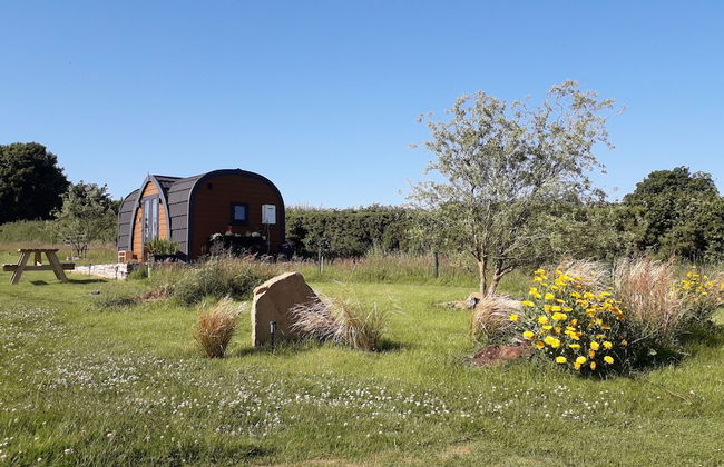 Rowan - Luxury Eco Pod at Trewithen Farm Glamping - Foto 16