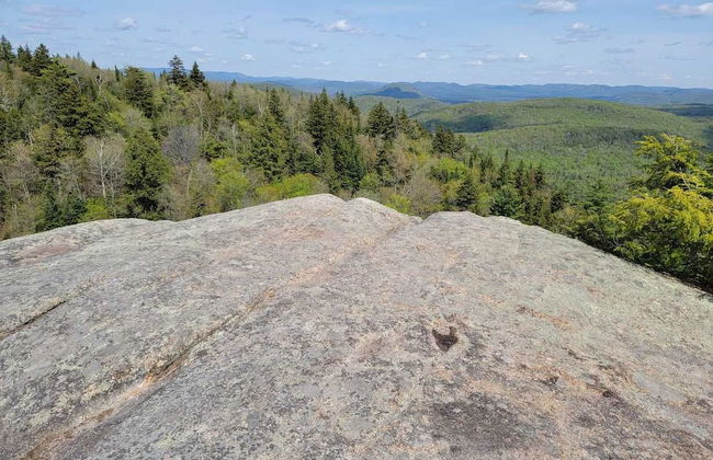 Station Farmhouse Tremblant - Foto 38