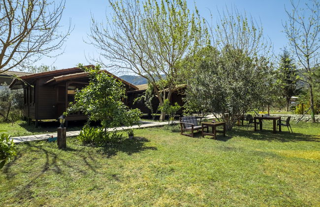 La Maison Hotel Çıralı - Foto 1