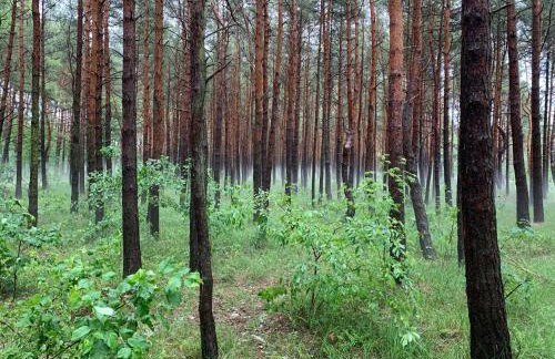 Dobrostan Domek w Naturze - Foto 44