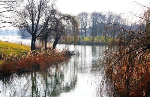 La Charmille du Lac - Foto 37