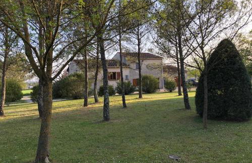 Les Hauts de Cassagnas - Photo 4