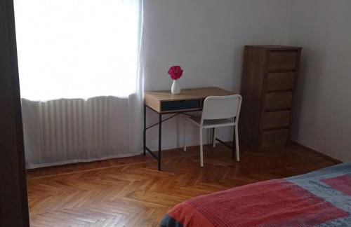 la maison des fleurs - Foto 16