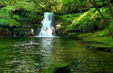 Molino de Yera - Foto 61