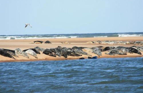 Beautiful House in Village, Newburgh, Ellon - Foto 28