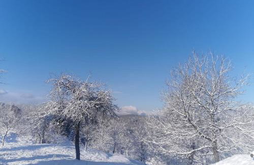 Holiday Home für 4 Personen ca- 65 m² in Brod Moravice- Gespanschaft Primorje-Gorski - G by Interhome - Foto 12