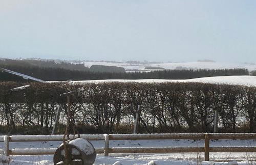 Meikle Aucheoch Holiday Cottage, plus Hot Tub, Near Maud, in the heart of Aberdeenshire - Foto 21