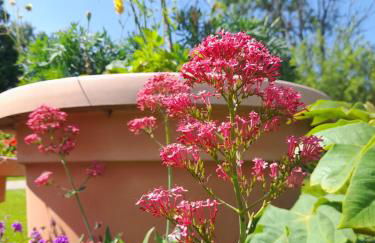 Domaine de l'Ermitage - Foto 51