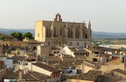 La Polaina - Foto 34