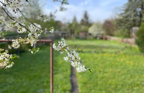 FeWo Pelkmann Apartment 1 - Die Grüne Oase in Weikersheim - Foto 32