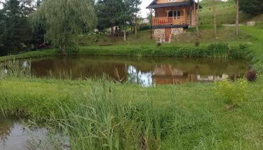 Domek nad Stawem Siemuszowa - Foto 2