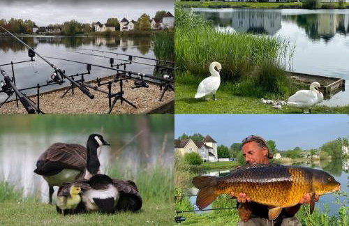 Windrush Turret Lodge - Photo 52