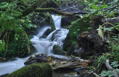 Apartamentos Rurales Casa Baltasar - Foto 45