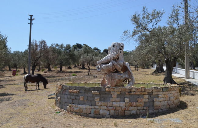 Zeytin Apart Otel & Aquapark - Photo 39