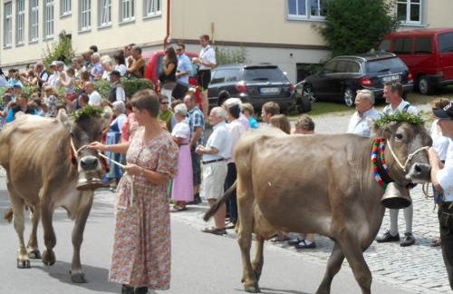 Urlaubshof Bechteler - Foto 23