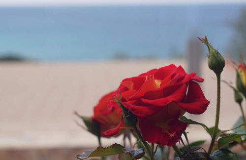 Residence San Salvatore - Foto 48