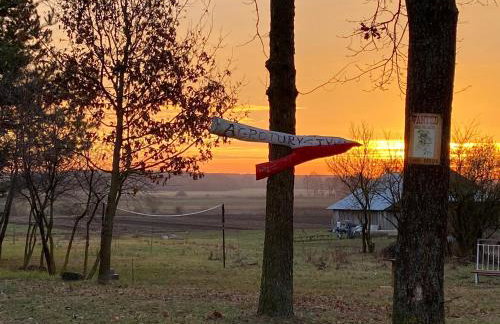 Ozierański Eden "Pod rzeźbami" - Photo 32