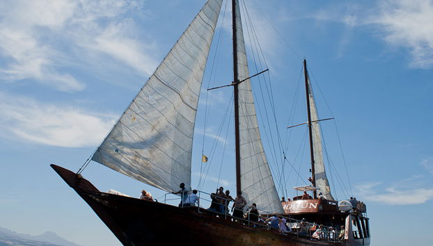 Paseo en barco Shogun - Foto 2