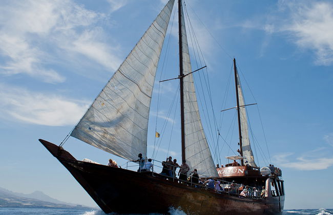 Shogun-Bootsfahrt - Foto 2