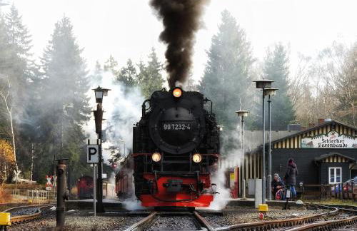 Apartement zum Kuckuck noch mal mit Schwimmbad und Sauna - Foto 26