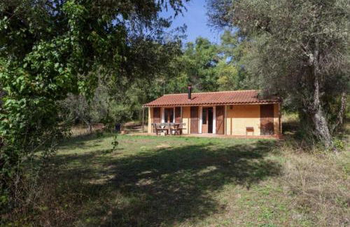 Finca Montemateo - Foto 49