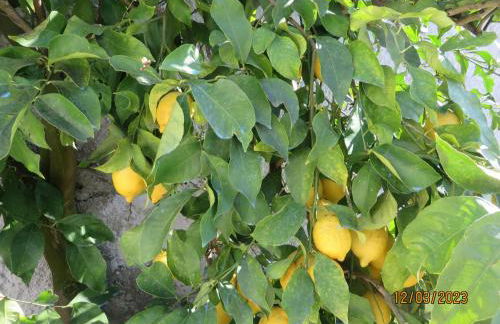 Ca' Dei Cedri in Marciaga - Foto 12