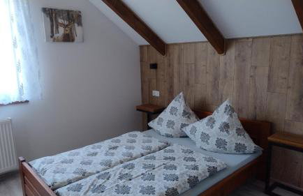 Bieszczadzki Horyzont Apartamenty - Photo 12