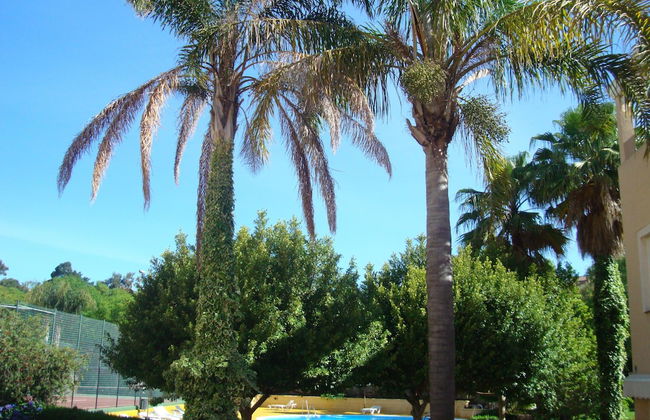 Islantur Ipanema - Foto 13